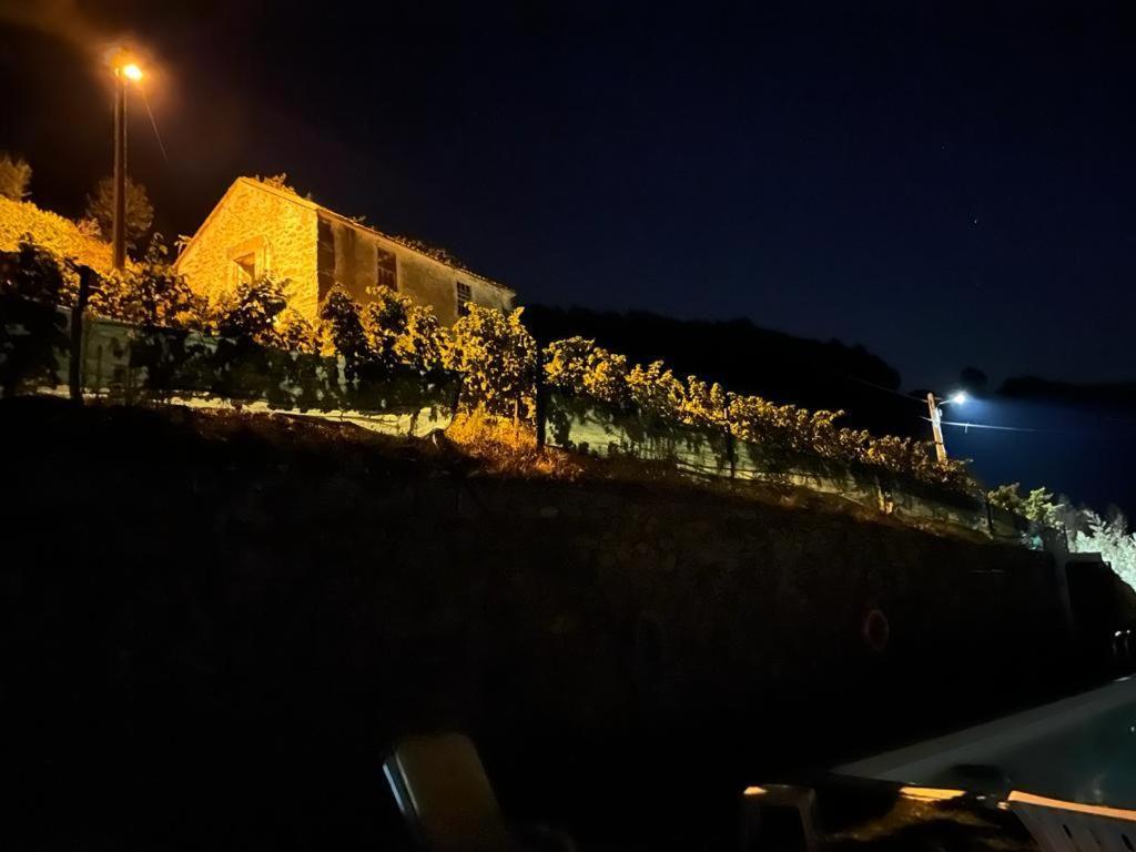 Casa Da Oliveira Villa Mesao Frio Bagian luar foto
