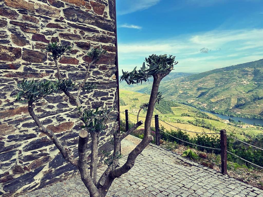 Casa Da Oliveira Villa Mesao Frio Bagian luar foto